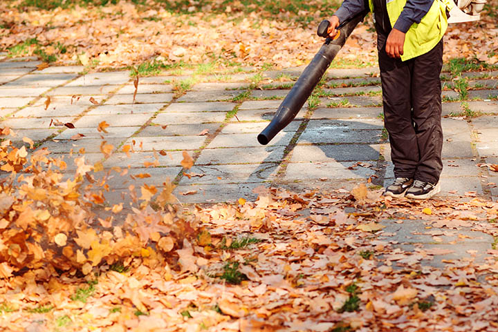 Spring and Fall Cleanup