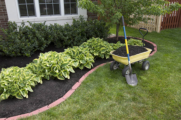 Mulch & Bed Edging